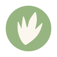 Rond vert et feuille beige2